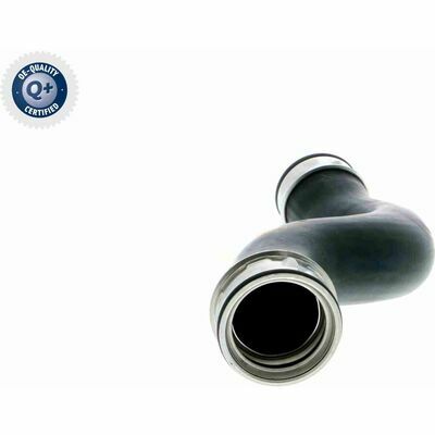 Q+,  Première Monte