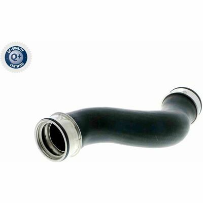 Q+,  Première Monte