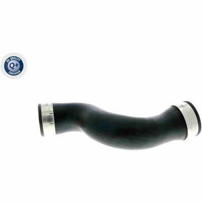 Q+,  Première Monte