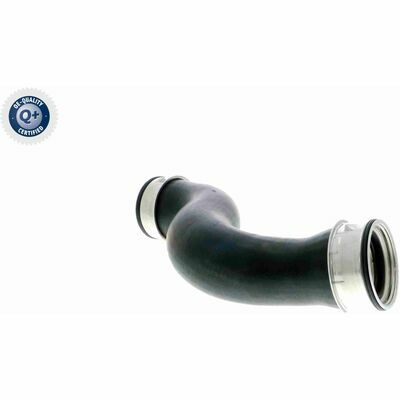 Q+,  Première Monte