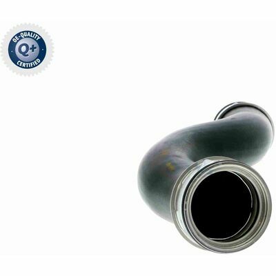 Q+,  Première Monte