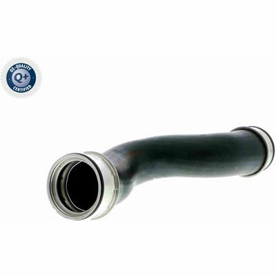 Q+,  Première Monte