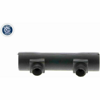 Q+,  Première Monte