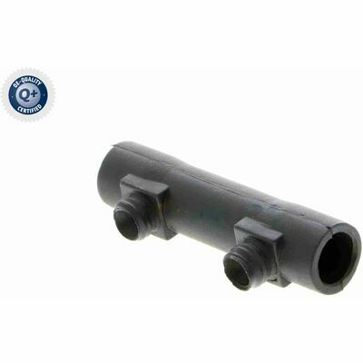 Q+,  Première Monte