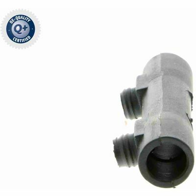 Q+,  Première Monte