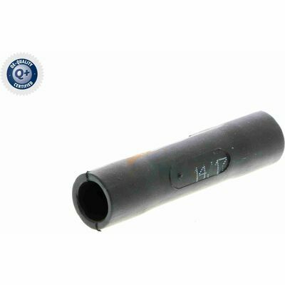 Q+,  Première Monte