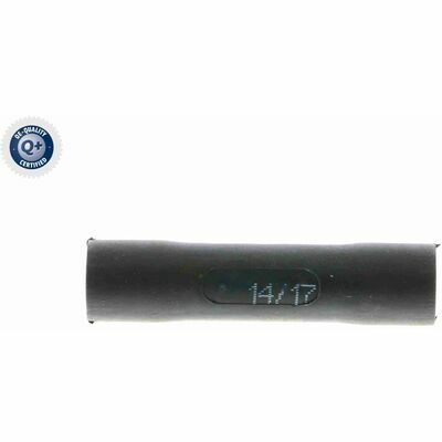 Q+,  Première Monte