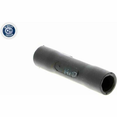 Q+,  Première Monte