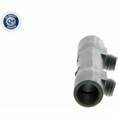 Q+,  Première Monte