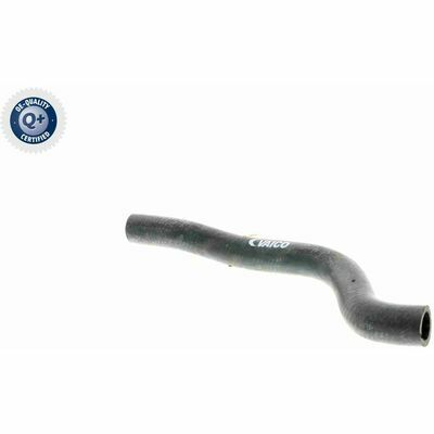 Q+, calidad de primer equipo