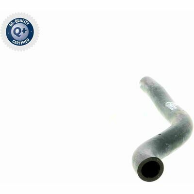 Q+, calidad de primer equipo