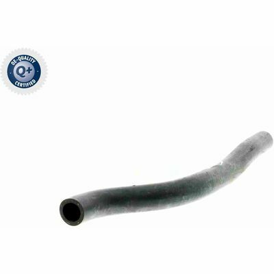 Q+, calidad de primer equipo