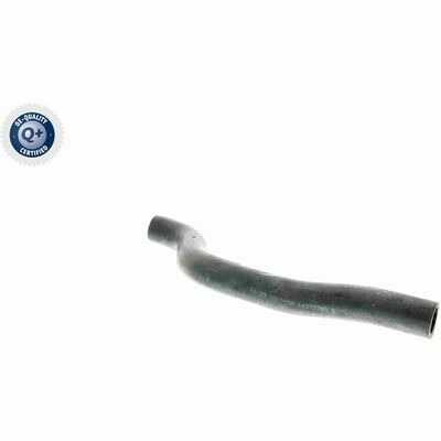 Q+, calidad de primer equipo