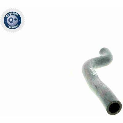 Q+, calidad de primer equipo