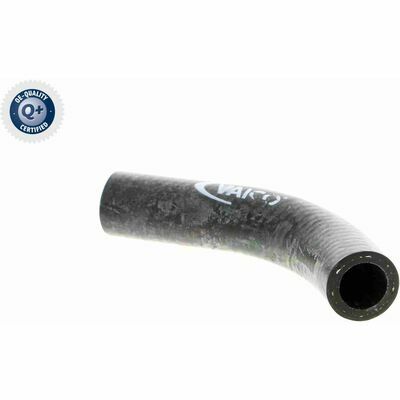 Q+,  Première Monte