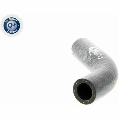 Q+,  Première Monte