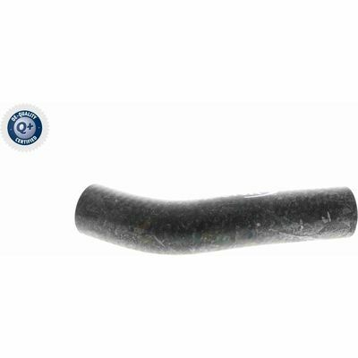 Q+,  Première Monte