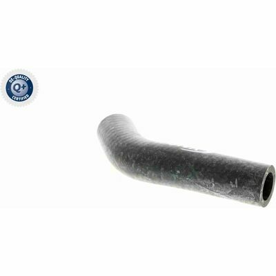 Q+,  Première Monte