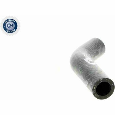 Q+,  Première Monte