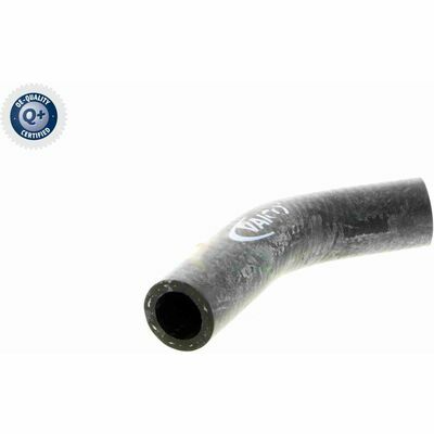 Q+,  Première Monte