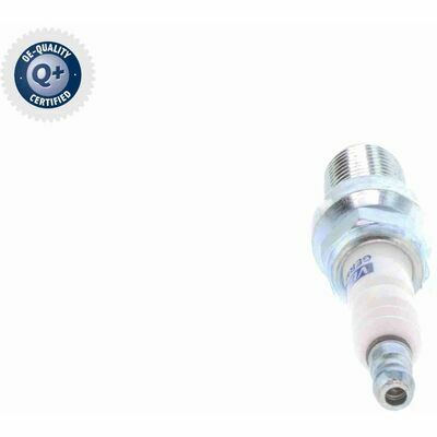 Q+, calidad de primer equipo