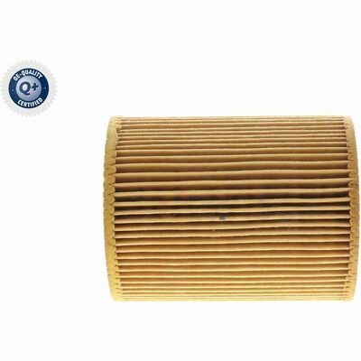 Q+ qualità di primo fornitore