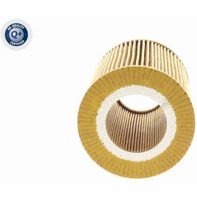 Q+ qualità di primo fornitore