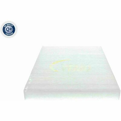 Q+,  Première Monte