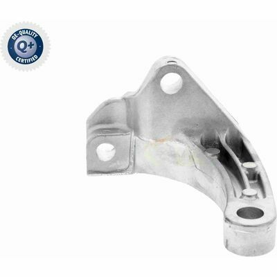 Q+,  Première Monte