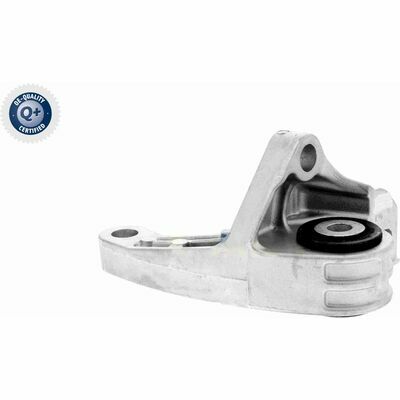 Q+,  Première Monte