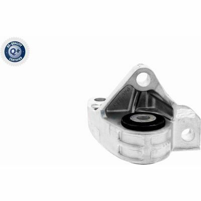 Q+,  Première Monte