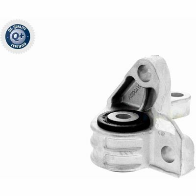 Q+,  Première Monte