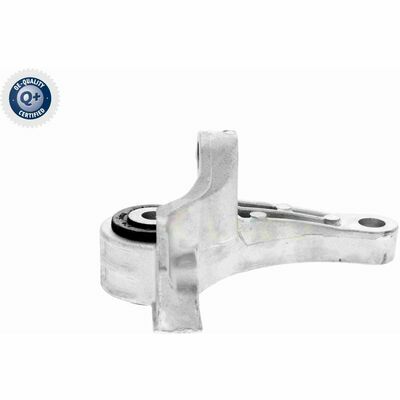 Q+,  Première Monte