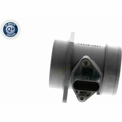 Q+,  Première Monte