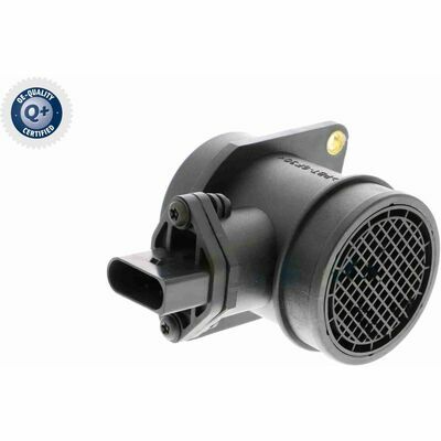 Q+,  Première Monte