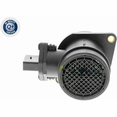 Q+,  Première Monte