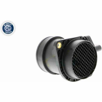 Q+,  Première Monte