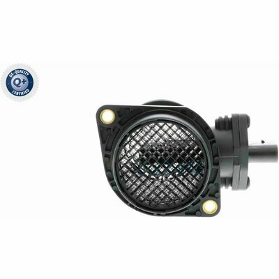 Q+,  Première Monte