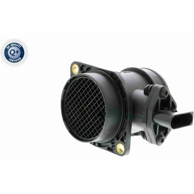 Q+,  Première Monte