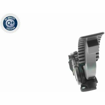 Q+ qualità di primo fornitore