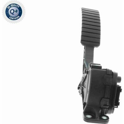 Q+ qualità di primo fornitore