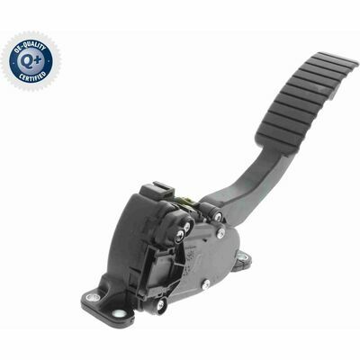 Q+ qualità di primo fornitore