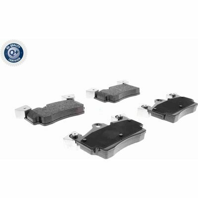 Q+,  Première Monte