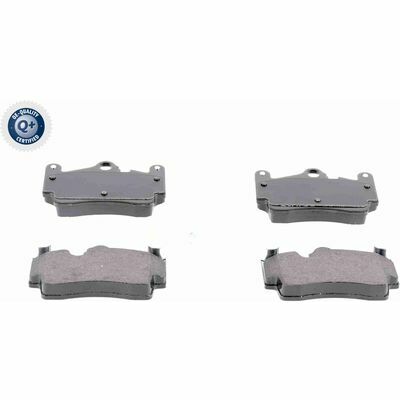 Q+,  Première Monte