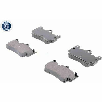 Q+,  Première Monte