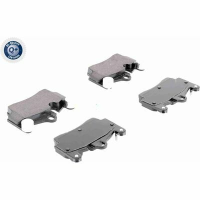 Q+,  Première Monte