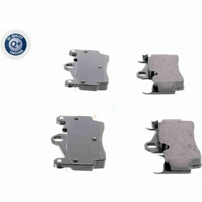 Q+,  Première Monte