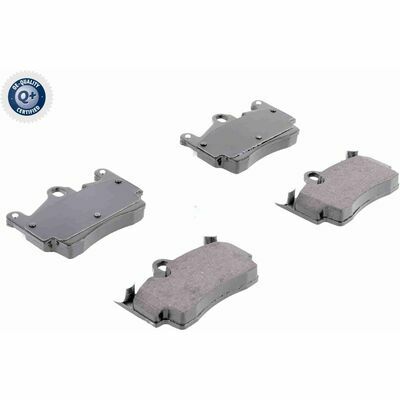 Q+,  Première Monte