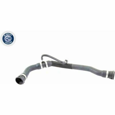 Q+, calidad de primer equipo