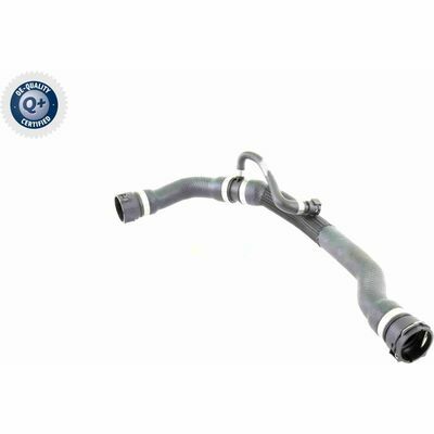 Q+, calidad de primer equipo